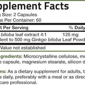 Bronson Ginkgo Biloba